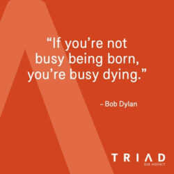Quote-24-dylan